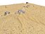 desert dunes beach ground 3D model