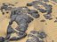 desert dunes beach ground 3D model