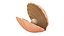 Cartoon Sea Shell 01 model