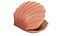 Cartoon Sea Shell 01 model
