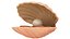 Cartoon Sea Shell 01 model
