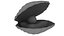 Cartoon Sea Shell 01 model