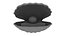 Cartoon Sea Shell 01 model