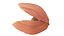 Cartoon Sea Shell 01 model