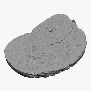 3D A Slice Of Oatmeal Bread - For 3D Print