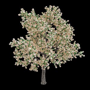 3D forest - pear tree
