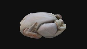 3D poulet cru cuisin model