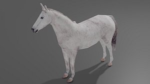 3D White horse OBJ FBX model