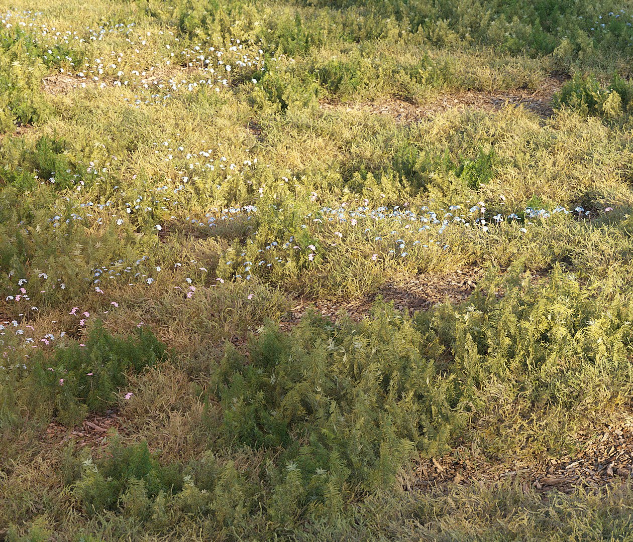 3D forest grass https://p.turbosquid.com/ts-thumb/eI/jcZta3/3mv3eySM/grass20006copy/jpg/1583487731/1920x1080/fit_q87/6ec78dbc2d38737f3543e9db49892db85c2410cf/grass20006copy.jpg