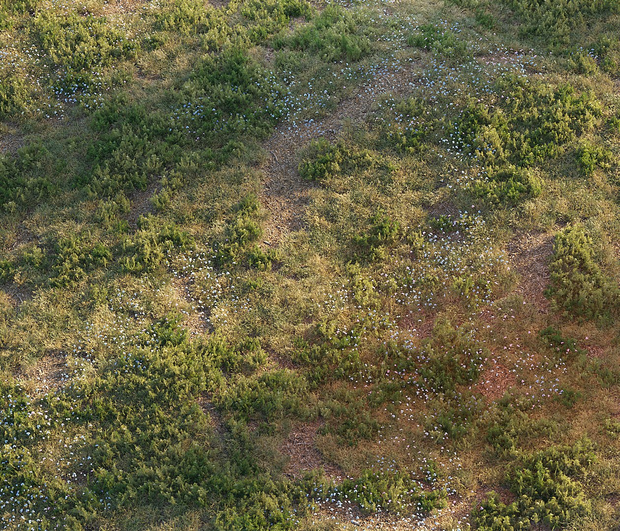 3D forest grass https://p.turbosquid.com/ts-thumb/eI/jcZta3/3wnoLRC1/grass20000copy/jpg/1583487731/1920x1080/fit_q87/96ed6813cb25c816e490acf93932a6b75c08bbdd/grass20000copy.jpg