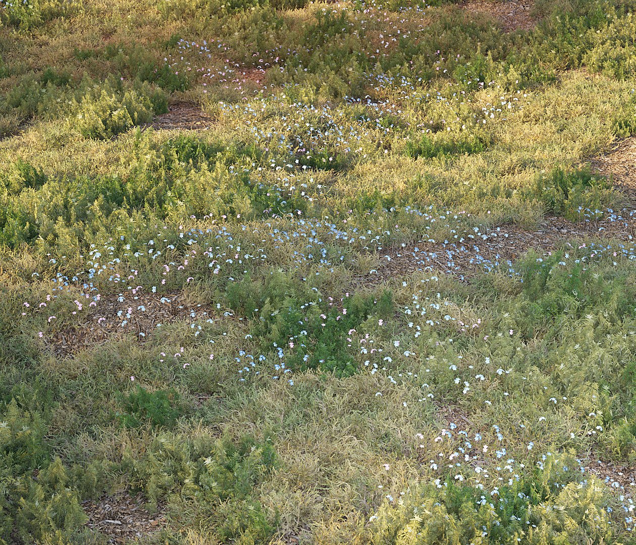 3D forest grass https://p.turbosquid.com/ts-thumb/eI/jcZta3/JVrVco9K/grass20005/jpg/1583487731/1920x1080/fit_q87/2bcc40b46dfb8580895ba70d58b0602cd3709dc8/grass20005.jpg
