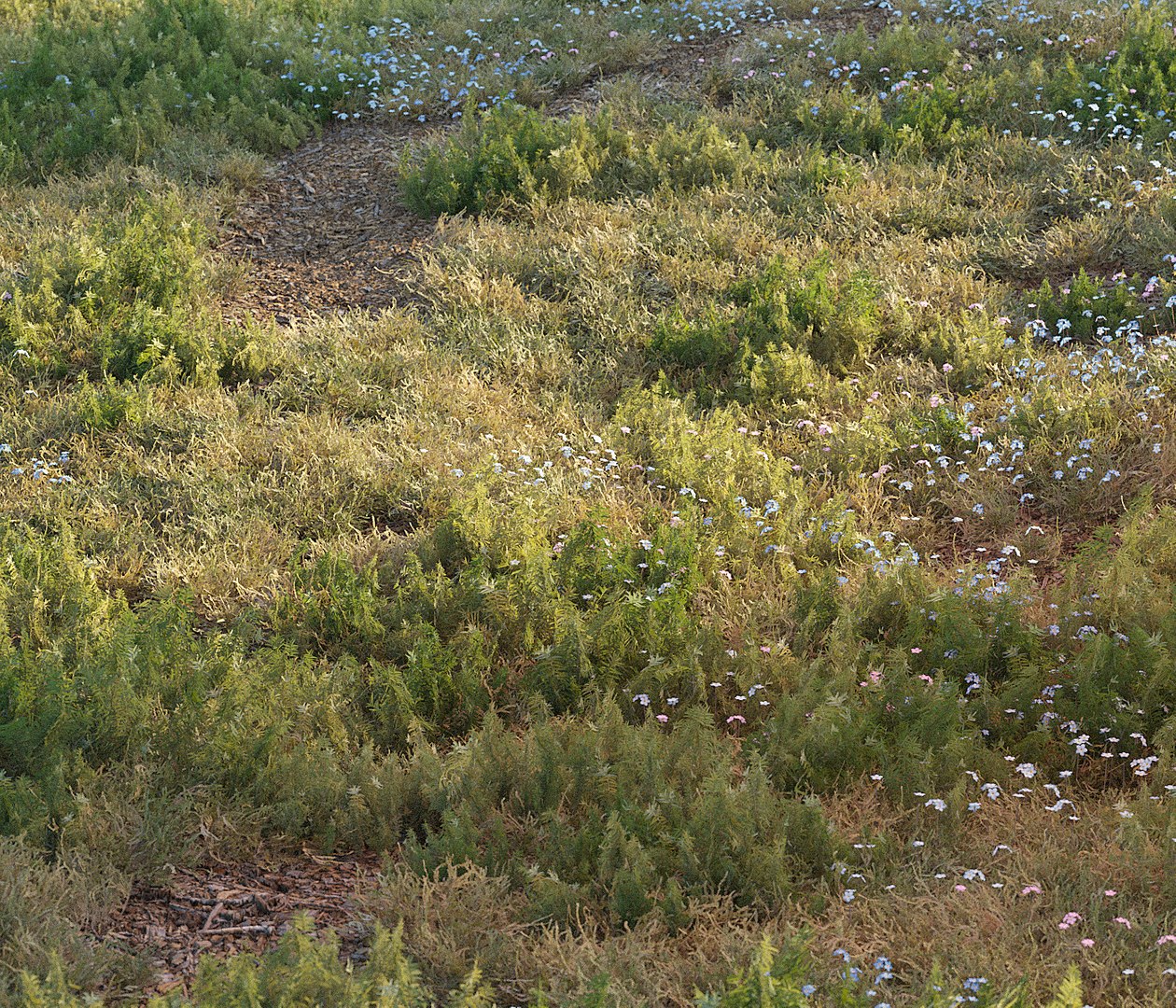3D forest grass https://p.turbosquid.com/ts-thumb/eI/jcZta3/Q4UDyHKJ/grass20002copy/jpg/1583487731/1920x1080/fit_q87/50473269c083608e8c813aa43c67c838b95000a7/grass20002copy.jpg