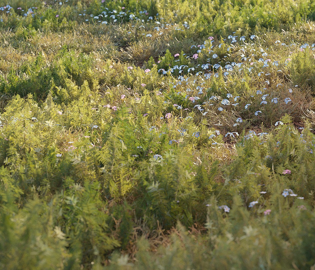 3D forest grass https://p.turbosquid.com/ts-thumb/eI/jcZta3/biGSvK4R/grass20009copy/jpg/1583487731/1920x1080/fit_q87/3a8af0cb2fb153cbfd75dcd4e0cb2af847d8e302/grass20009copy.jpg