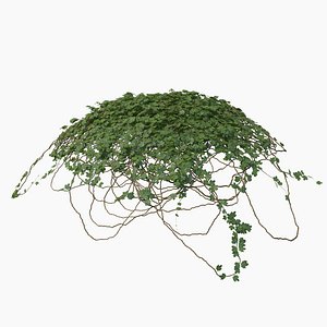 3d realistic ivy