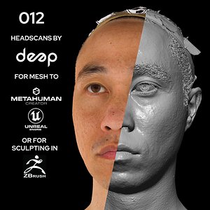 Asian Male 30s head scan 012