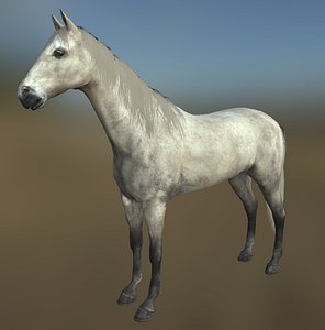3D horse rigged - animations model