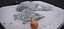 LE ROCHER DE LA PLAGE 2024
