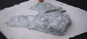 THE BEACH ROCK 2024 model