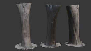 Tree Trunk 3D Scan 3D model