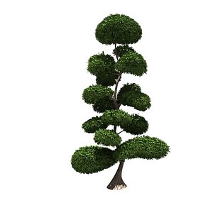 bush buxus styled 3D