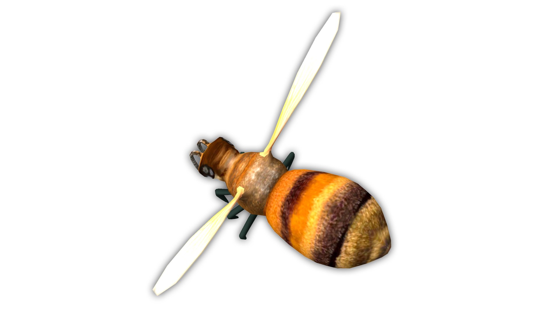 3d 3ds bee animation https://p.turbosquid.com/ts-thumb/eJ/HO2Cfo/uBbz0bNy/screenshot_03/png/1403099866/1920x1080/fit_q87/67d4524a983b859b5db05bd43963de053ee5f7c3/screenshot_03.jpg