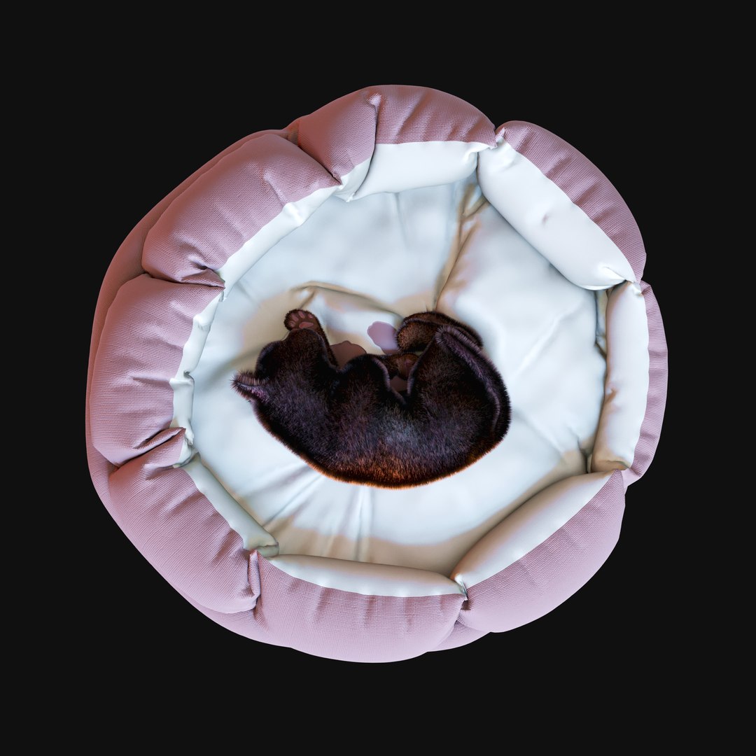 cozy cat bed kitten 3D model https://p.turbosquid.com/ts-thumb/eJ/HtPXhU/8hGTSsGW/catbed_render3/jpg/1558774777/1920x1080/fit_q87/c3c59531f5f3c744bdba2eeef1ac73f397b5fd8b/catbed_render3.jpg