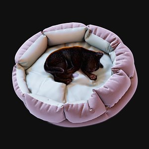 cozy cat bed kitten 3D model