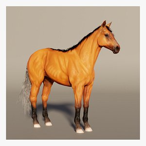 horse 3D model