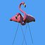 pink flamingo