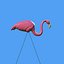 pink flamingo