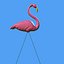 pink flamingo