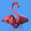 pink flamingo