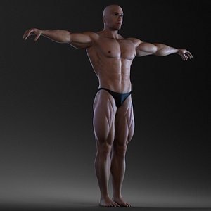 3d max body bodybuilder man