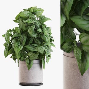 Plants collection 1167 3D model