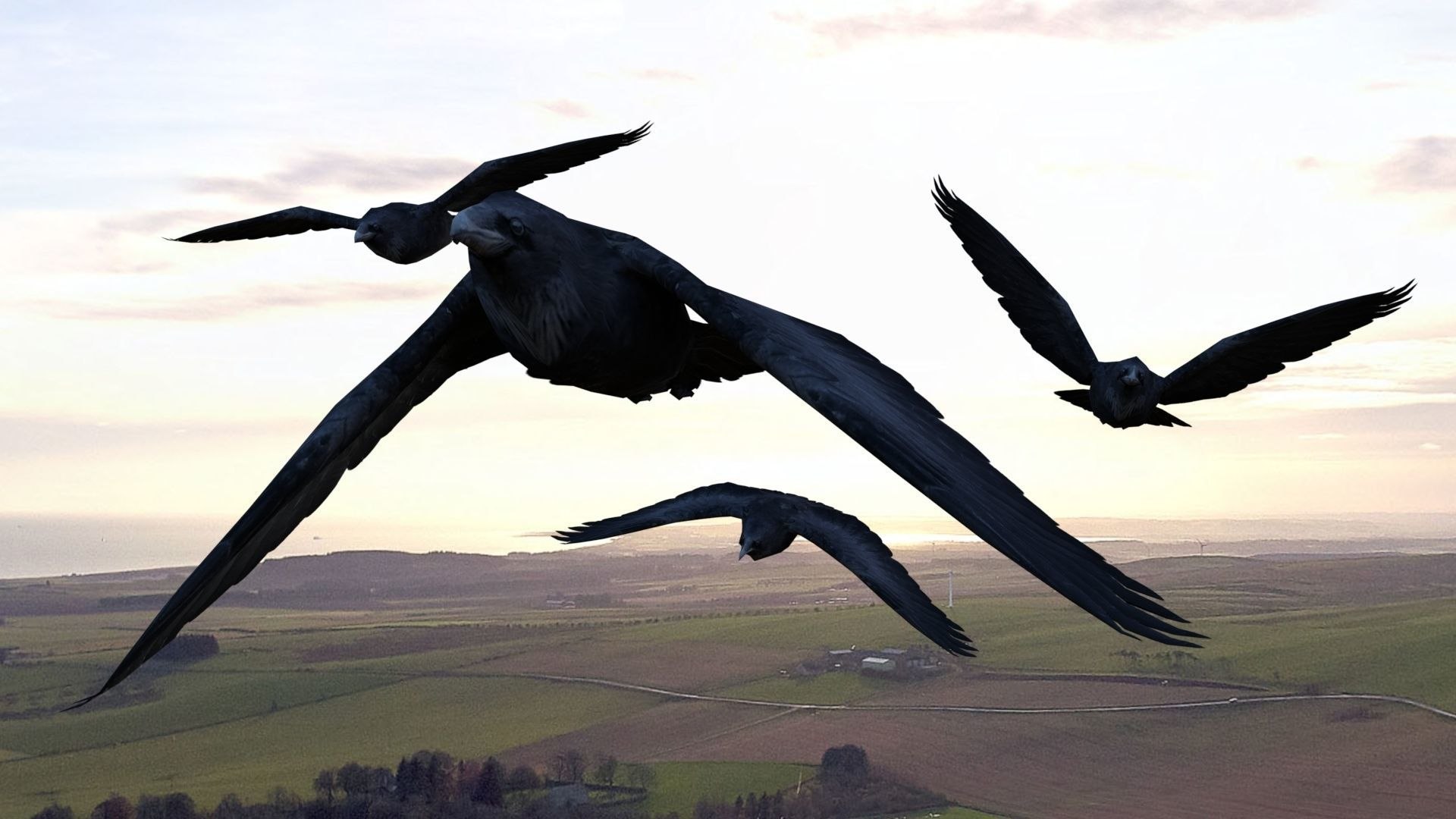 Low poly animated crow model https://p.turbosquid.com/ts-thumb/eJ/t9Nfvq/V0/lowpolyanimatedcrow3dmodel586c680c6c/jpg/1761476023/1920x1080/fit_q87/3e96af9b5c85c30cce2882bd98027c9b0a60c5b1/lowpolyanimatedcrow3dmodel586c680c6c.jpg
