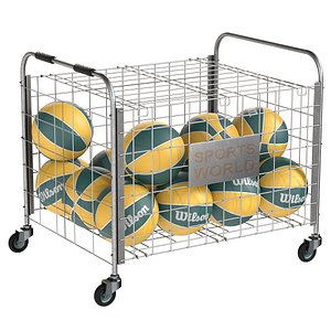 Metal ball storage steel and basketball wilson 3D