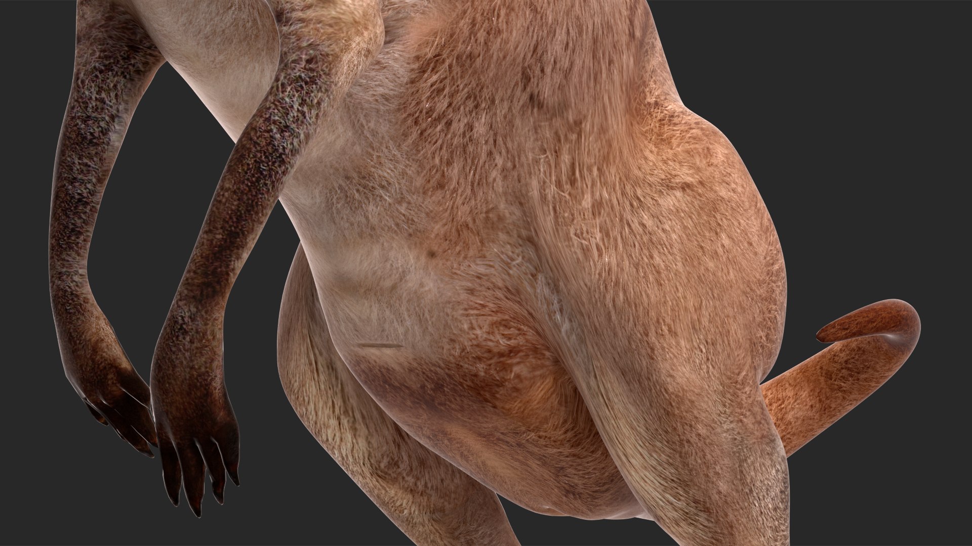 Mother Kangaroo with Baby Standing model https://p.turbosquid.com/ts-thumb/eK/7FskND/90/motherkangaroowithbabystandingmb3dmodel024/jpg/1720057370/1920x1080/fit_q87/0b748f457a543d3d5f9284e8e40b967b112a5b6f/motherkangaroowithbabystandingmb3dmodel024.jpg