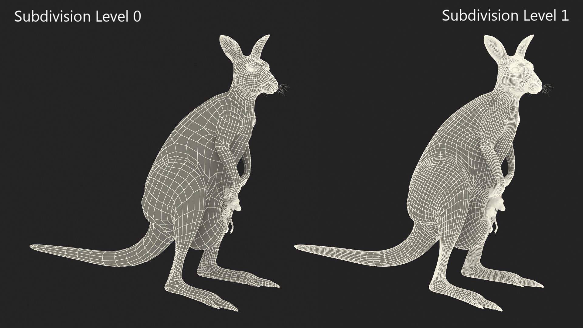 Mother Kangaroo with Baby Standing model https://p.turbosquid.com/ts-thumb/eK/7FskND/Fi/motherkangaroowithbabystandingmb3dmodel026/jpg/1720057378/1920x1080/fit_q87/a38ff50e48d83f56761febaa38bdefa0038bebdd/motherkangaroowithbabystandingmb3dmodel026.jpg