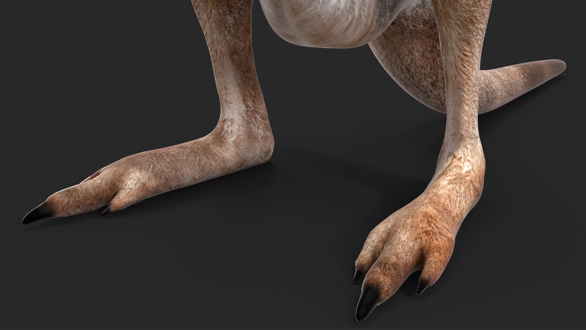Mother Kangaroo with Baby Standing model https://p.turbosquid.com/ts-thumb/eK/7FskND/LS/motherkangaroowithbabystandingmb3dmodel019/jpg/1720057350/1920x1080/fit_q87/7abe075cb077646bd3d96026d24fb5b2fdd8bf59/motherkangaroowithbabystandingmb3dmodel019.jpg