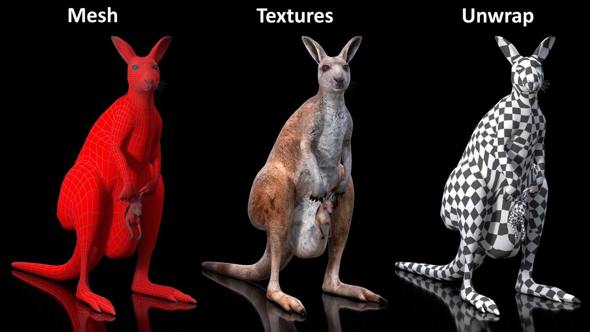 Mother Kangaroo with Baby Standing model https://p.turbosquid.com/ts-thumb/eK/7FskND/QX/motherkangaroowithbabystandingmb3dmodel025/jpg/1720057374/1920x1080/fit_q87/63363626fcad0b71df45848773eab8e7ef98a18a/motherkangaroowithbabystandingmb3dmodel025.jpg