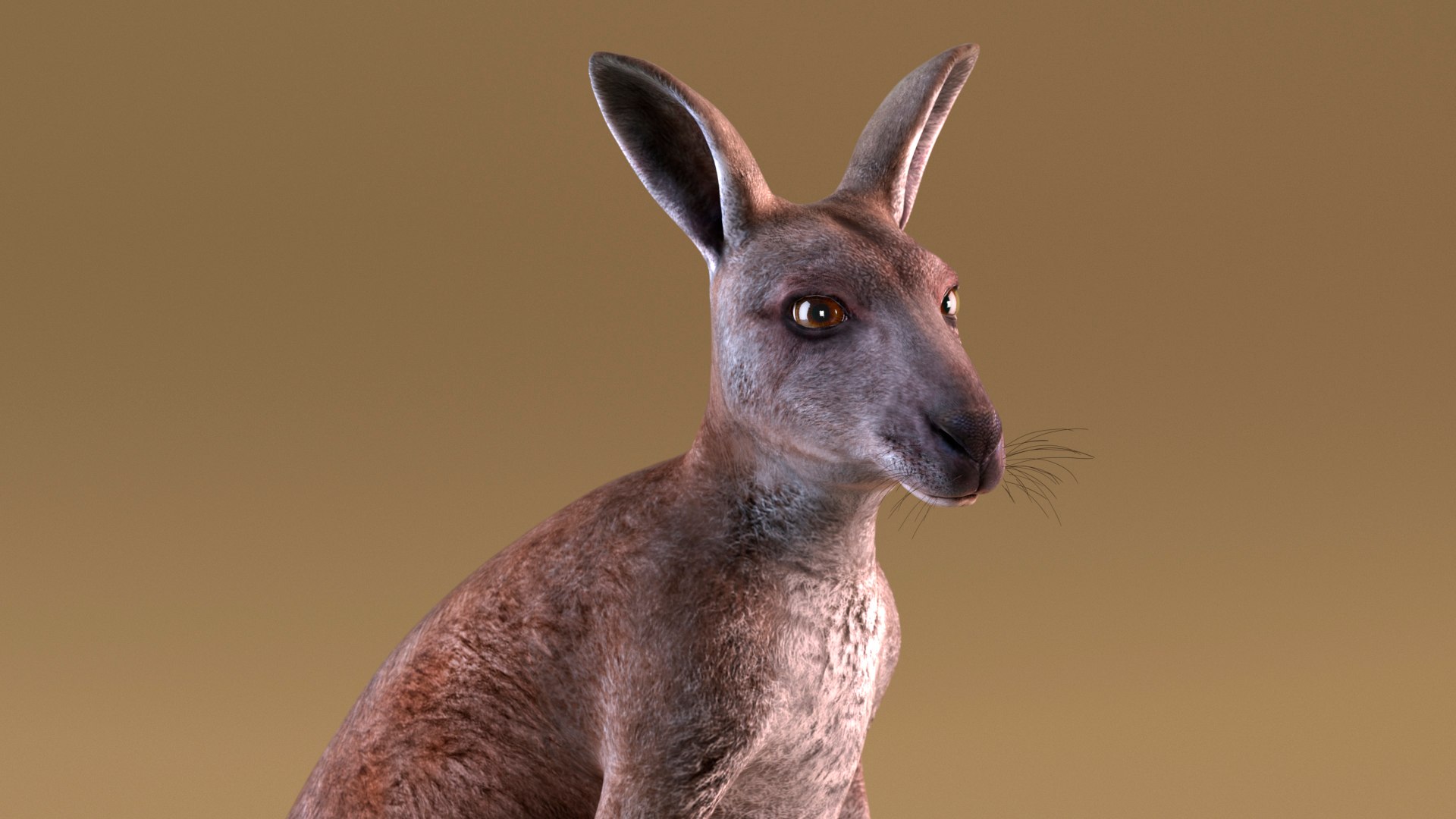 Mother Kangaroo with Baby Standing model https://p.turbosquid.com/ts-thumb/eK/7FskND/To/motherkangaroowithbabystandingmb3dmodel009/jpg/1720057311/1920x1080/fit_q87/3aa5c80d0b947dad43868f25700646c9d81ba443/motherkangaroowithbabystandingmb3dmodel009.jpg