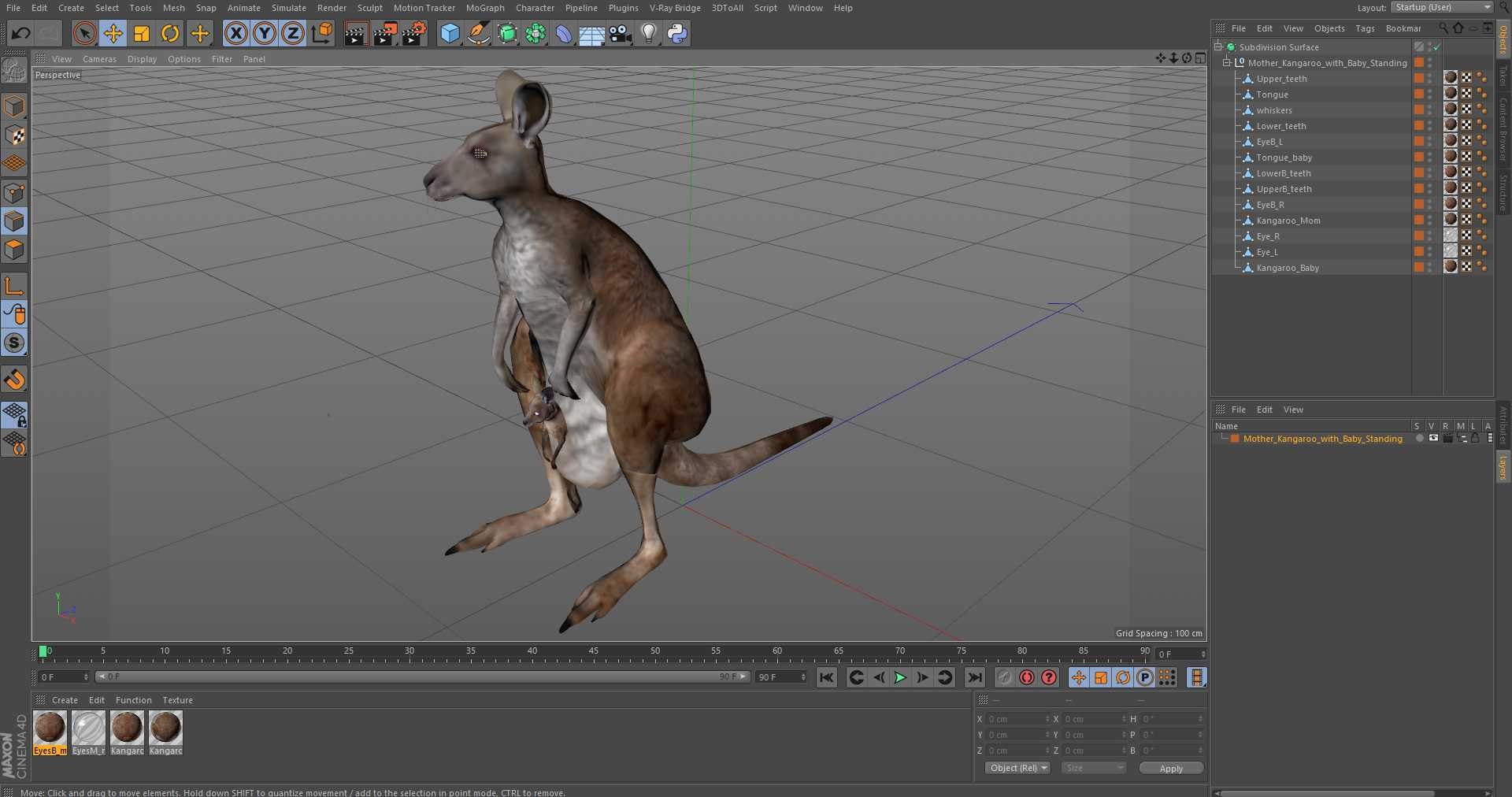Mother Kangaroo with Baby Standing model https://p.turbosquid.com/ts-thumb/eK/7FskND/ZP/motherkangaroowithbabystandingmb3dmodel032/jpg/1720057399/1920x1080/fit_q87/7b577983f79ab5e8a9baf9f29aee72aa2f869fa9/motherkangaroowithbabystandingmb3dmodel032.jpg