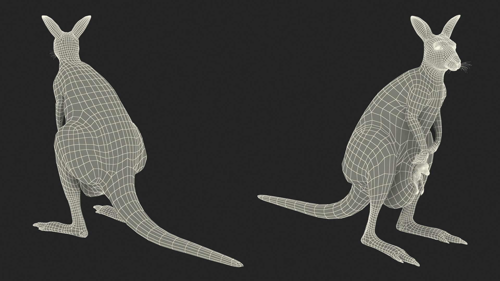 Mother Kangaroo with Baby Standing model https://p.turbosquid.com/ts-thumb/eK/7FskND/ku/motherkangaroowithbabystandingmb3dmodel034/jpg/1720057405/1920x1080/fit_q87/44ef64ccf2e08cd7d8998833d9c3a56fddf8d024/motherkangaroowithbabystandingmb3dmodel034.jpg