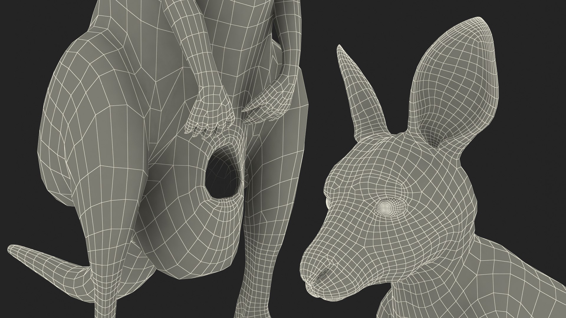 Mother Kangaroo with Baby Standing model https://p.turbosquid.com/ts-thumb/eK/7FskND/to/motherkangaroowithbabystandingmb3dmodel037/jpg/1720057417/1920x1080/fit_q87/cd34e9f2686cedae5b3f83a02770cc636473b3fc/motherkangaroowithbabystandingmb3dmodel037.jpg