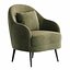 Nyuton Armchair by Dantone Home