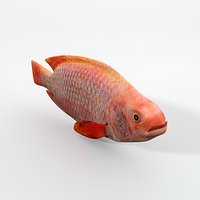 Mojarra