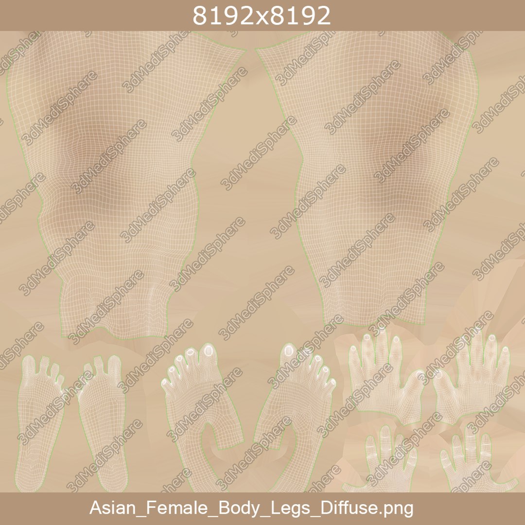 3D model skin asian female skeleton https://p.turbosquid.com/ts-thumb/eK/Z7jQYK/dIukdL6Y/uwrapped_legs/png/1582205413/1920x1080/fit_q87/e567550cd062aa462472d57dc059816683d3d14a/uwrapped_legs.jpg