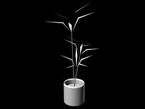 plants 3d model