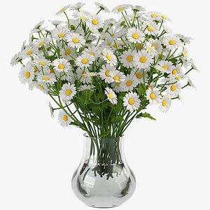 Chamomile 009
