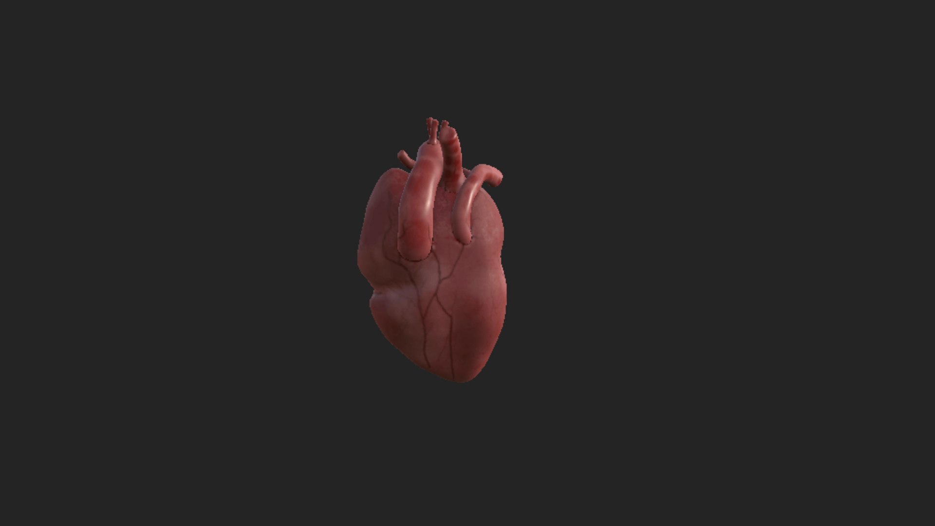 3D Heart https://p.turbosquid.com/ts-thumb/eK/koIPE0/HP/capturadepantalla20250709193500/png/1752107920/1920x1080/fit_q87/218655459cddecc234cdb0c5cdb9489f59b13b8e/capturadepantalla20250709193500.jpg